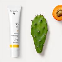 Dr. Hauschka SPF30 Tinted Sun Cream